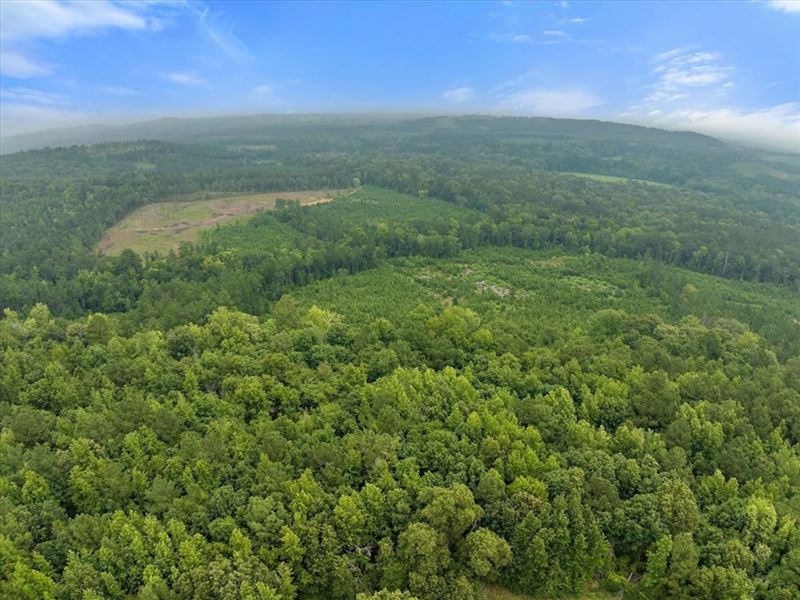 Denson Springs, 3502 : Palestine : Anderson County : Texas