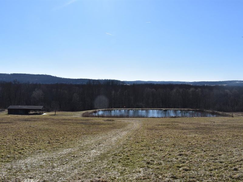 Paradise on The Conewango : Frewsburg : Chautauqua County : New York