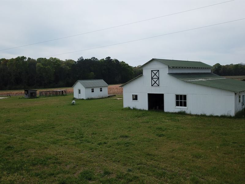 Flatout Farm Macon County, GA : Montezuma : Macon County : Georgia