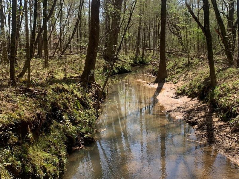 40 Secluded Acres with Mature Timbe : Tylertown : Walthall County : Mississippi