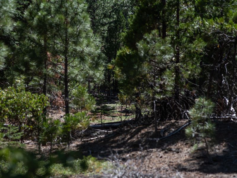 Private Getaway, Financing : Alturas : Modoc County : California