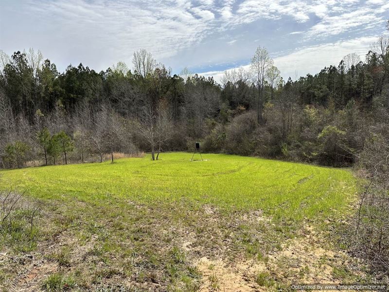 Large Hunting Tract in Ethel, MS : Kosciusko : Attala County : Mississippi