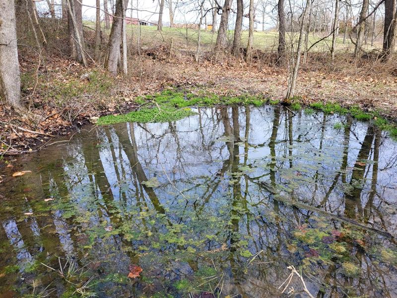 One Of A Kind Property : Mountain Grove : Texas County : Missouri