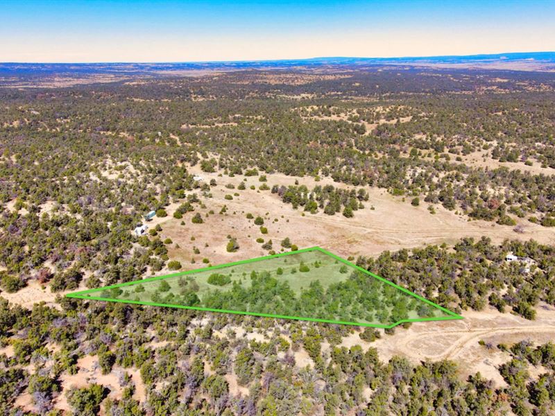 Wooded Lot with Dirt Road Access : Ramah : Cibola County : New Mexico
