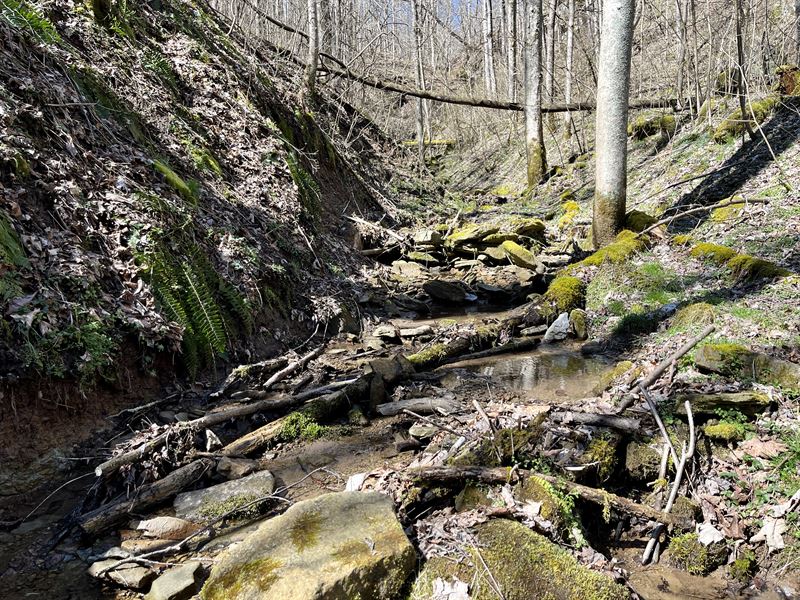 Ohio Hunting Properties for Sale : New Matamoras : Washington County : Ohio