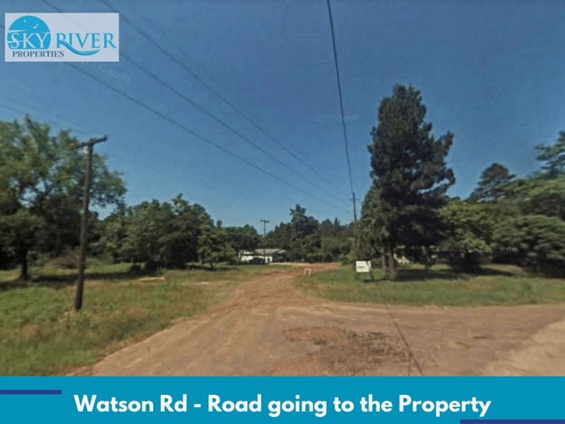 Beautiful Wooded 1 Acre in Kilgore : Kilgore : Gregg County : Texas