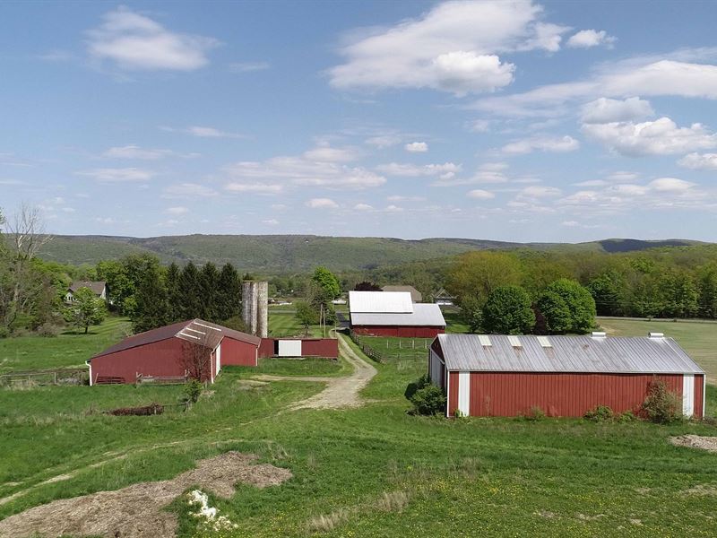 Estate or Horse / Cattle Ranch : Newfield : Tompkins County : New York