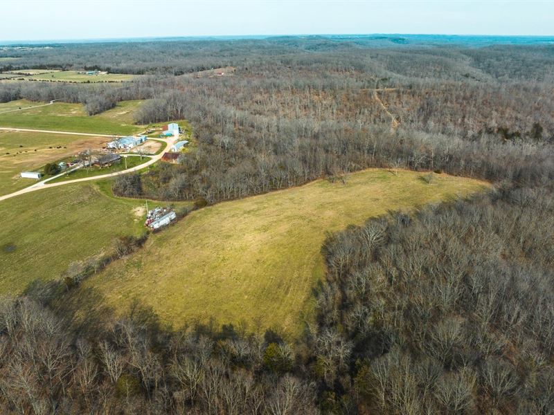 Plum Meadow : Seymour : Webster County : Missouri