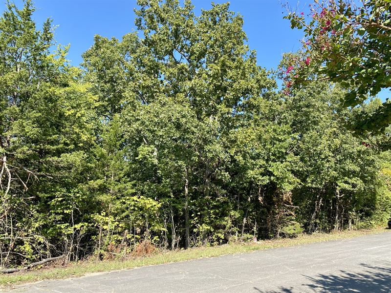 Idyllic Location for Your New Home : Horseshoe Bend : Izard County : Arkansas