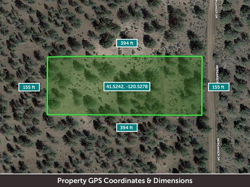 Large Residential Lot, Dirt Road : Alturas : Modoc County : California
