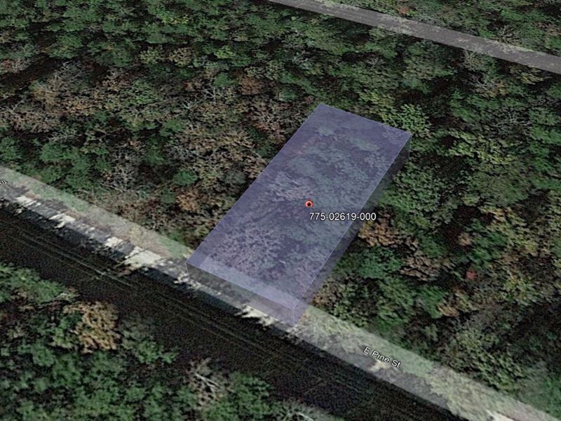 Settle in Paradise on 0.2 Acres : Lead Hill : Boone County : Arkansas