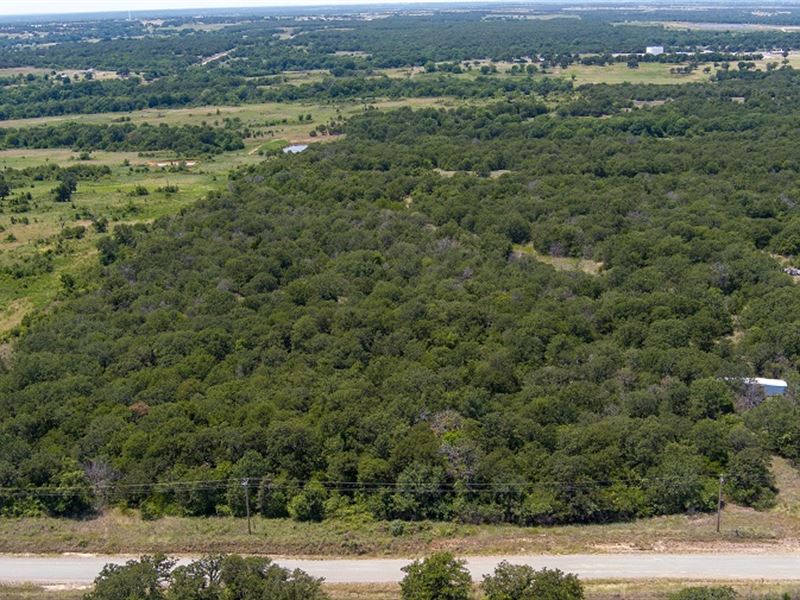 Wooded 6 Acres Vacant Land : Foster : Stephens County : Oklahoma