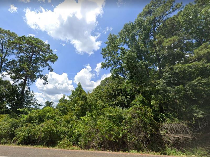 .35 Ac in Tyler County, Come See It : Ivanhoe : Tyler County : Texas