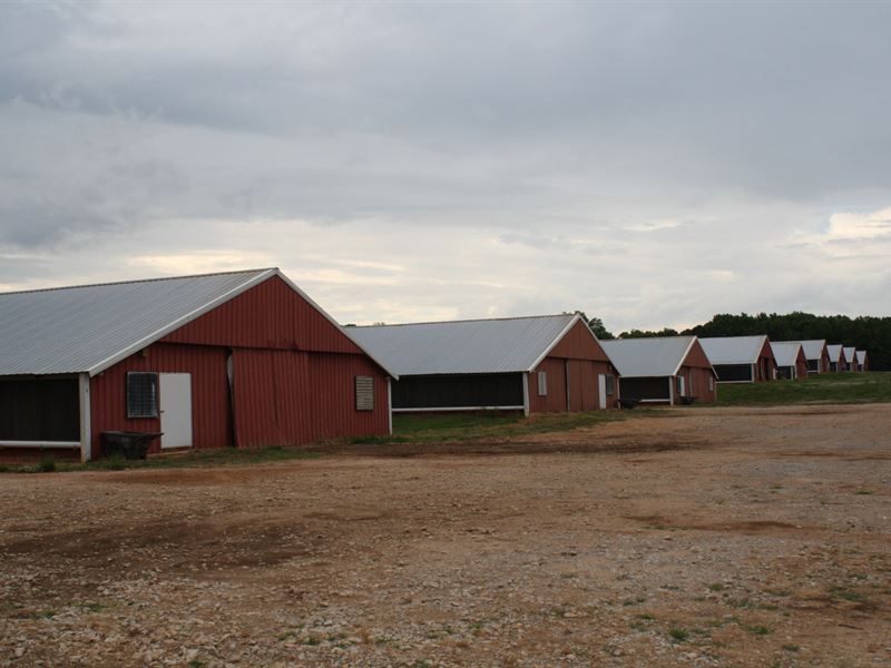 10 House Poultry Farm & Home : Woodland : Randolph County : Alabama