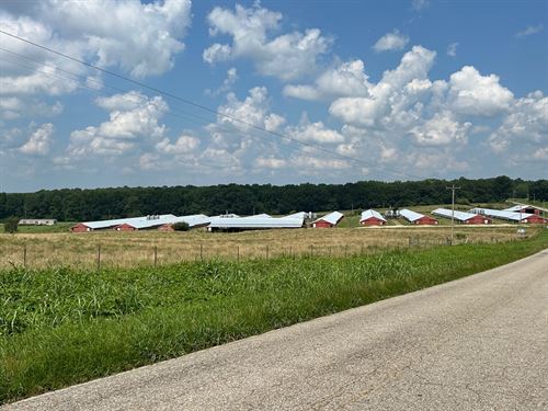 10 House Poultry Farm & Home : Woodland : Randolph County : Alabama