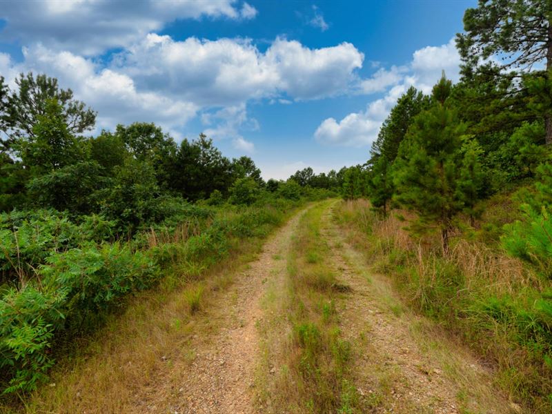 Lake View Homesite with Road Access : Tuskahoma : Latimer County : Oklahoma
