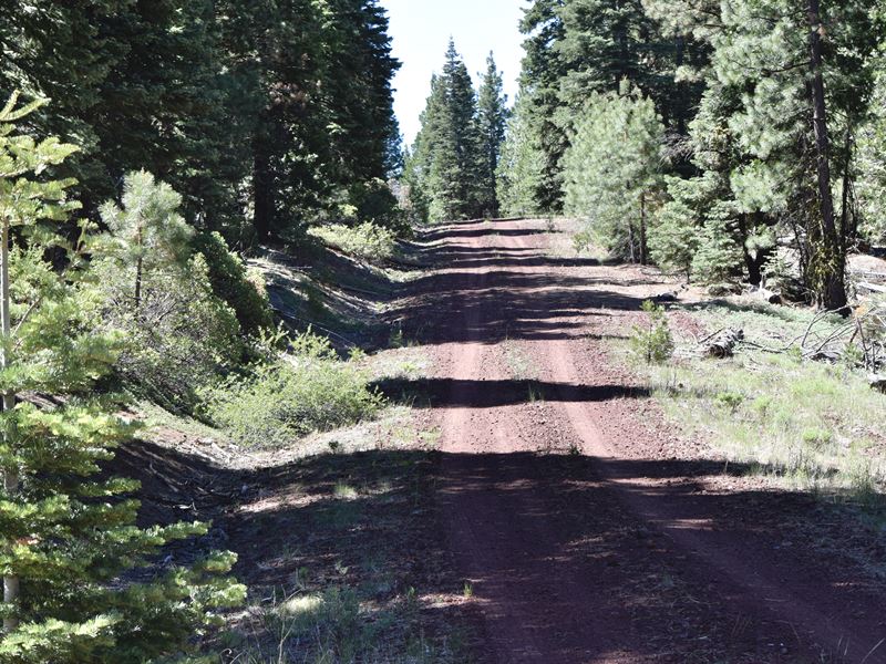 Secluded Hideaway : Alturas : Modoc County : California