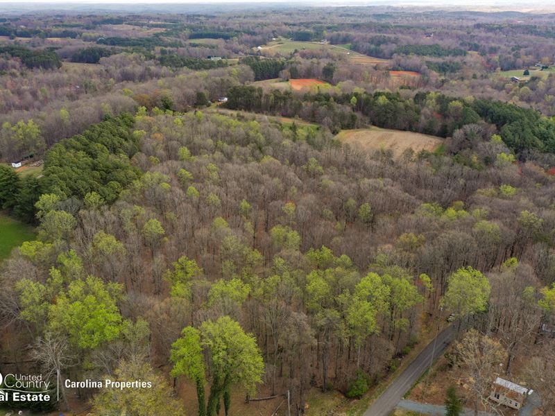 Timberland Sale in Stokes County : Walnut Cove : Stokes County : North Carolina