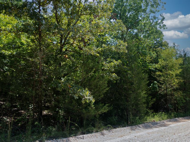3 Adjacent Vacant Building Plots : Horseshoe Bend : Izard County : Arkansas