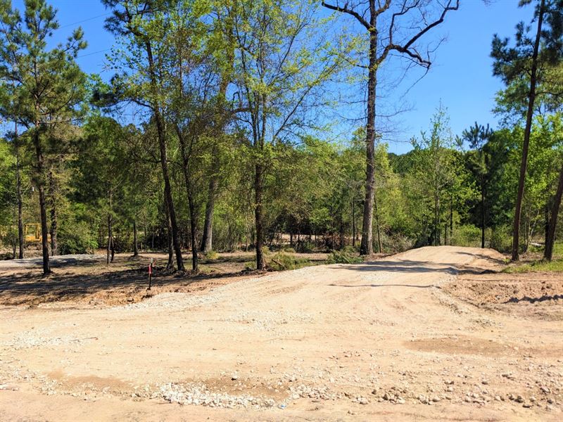.16 Acre RV / Mobile / Tiny Home : Trinity : Trinity County : Texas