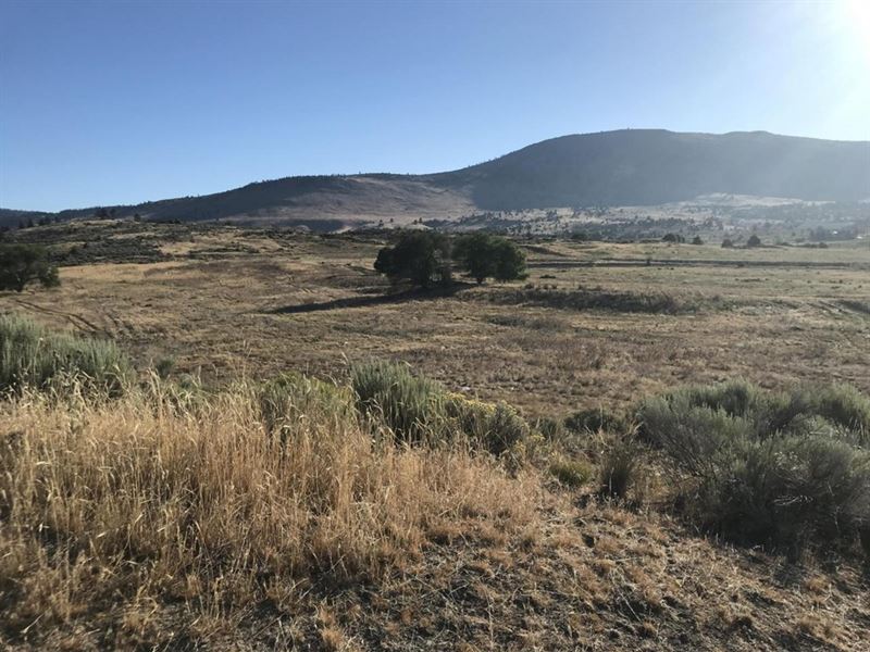 The Future Vision : Klamath Falls : Klamath County : Oregon