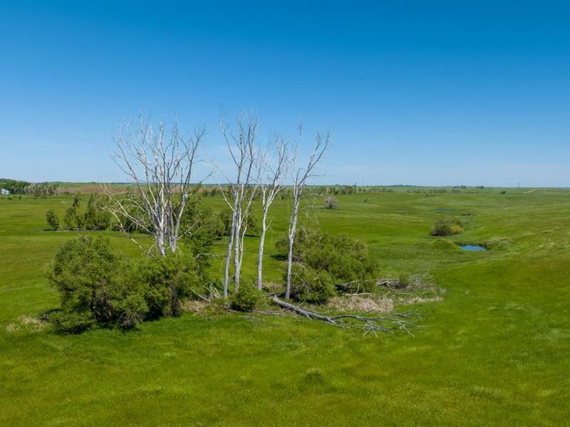Dodge ND 160 Acres : Dodge : Dunn County : North Dakota