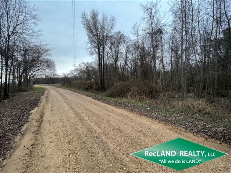 32 Ac, Hardwood Hunting Tract : Eudora : Chicot County : Arkansas