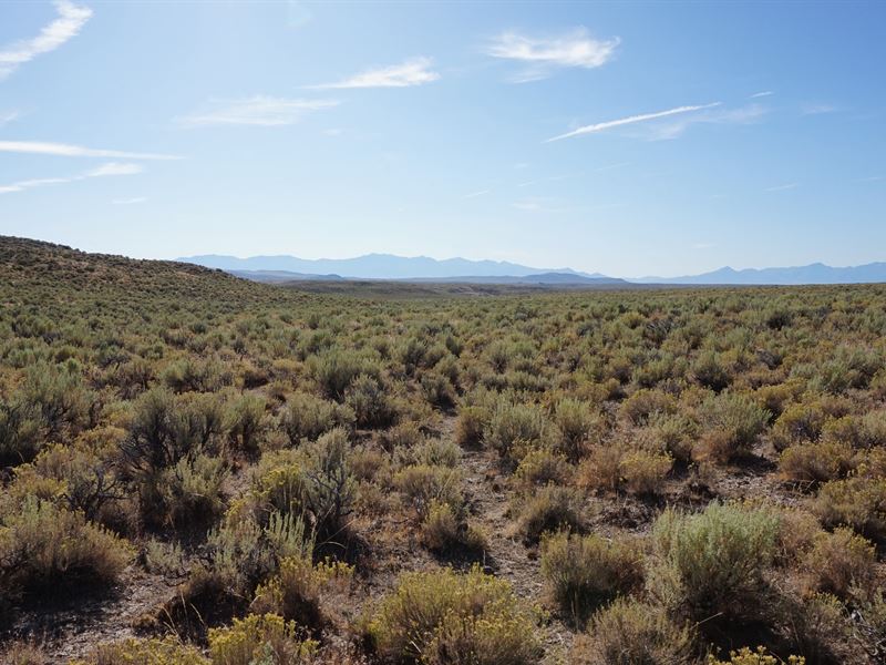 20 Acres of Unrestricted Views : Elko : Elko County : Nevada