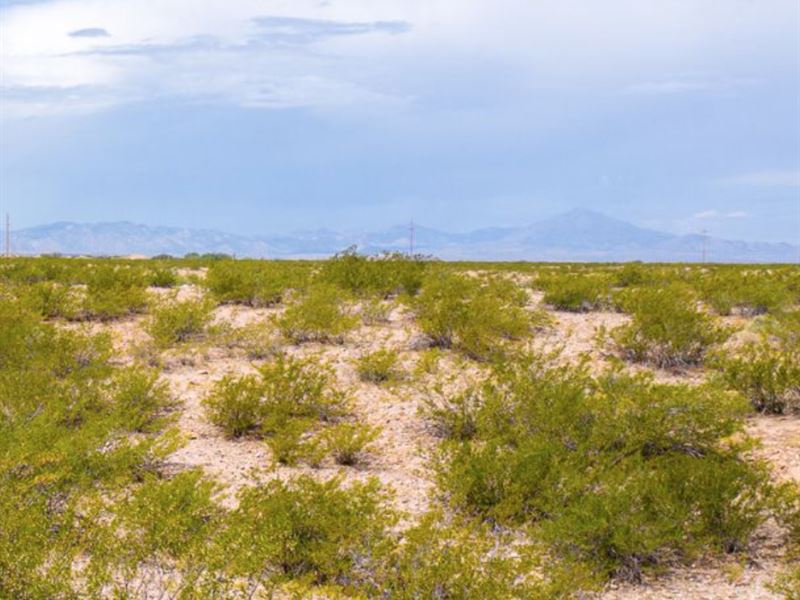 Slice of Paradise in Cochise County : Cochise : Cochise County : Arizona