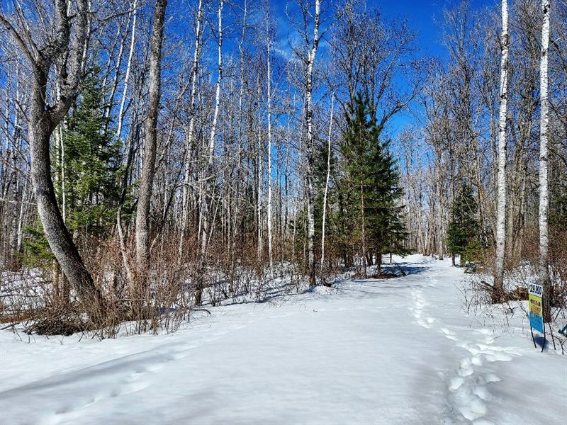 Wooded Land Adjoins National Forest : Argonne : Florence County : Wisconsin
