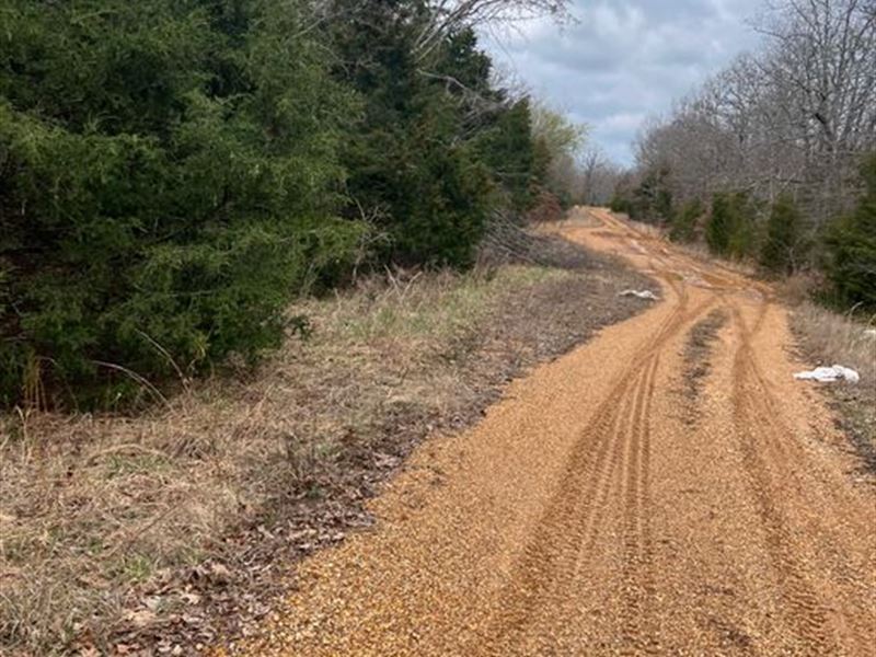 Get Off The Grid Land Deal in AR : Horseshoe Bend : Izard County : Arkansas
