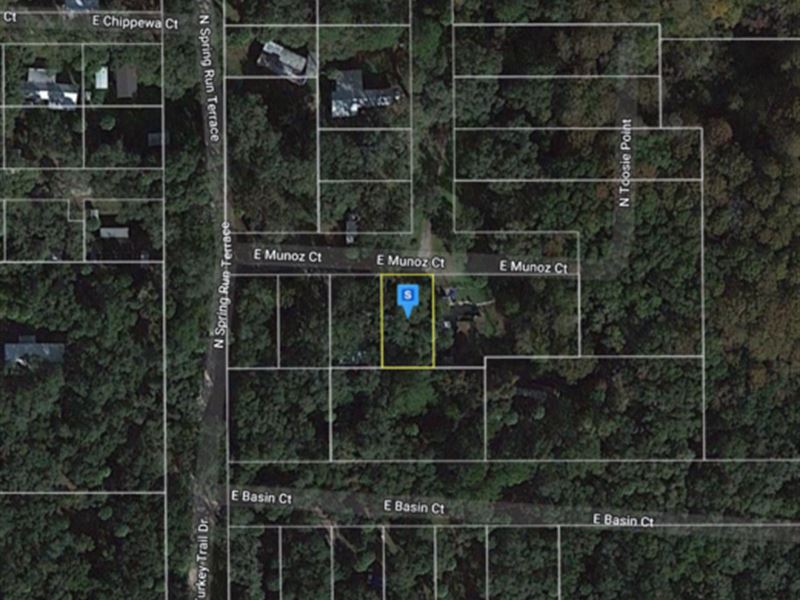 Affordable Vacant, Quiet Lot : Hernando : Citrus County : Florida
