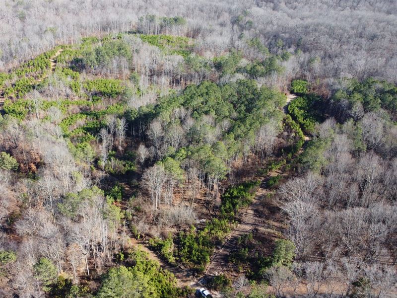 Easley Boundary Tract 2 : Jackson : Henry County : Tennessee