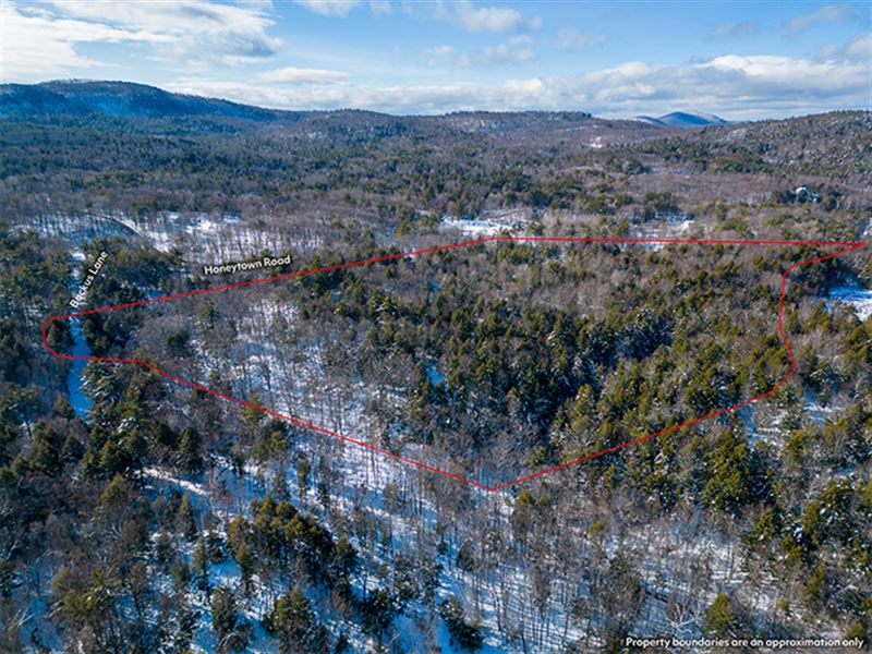 Dresden Hill Parcel : Dresden : Washington County : New York