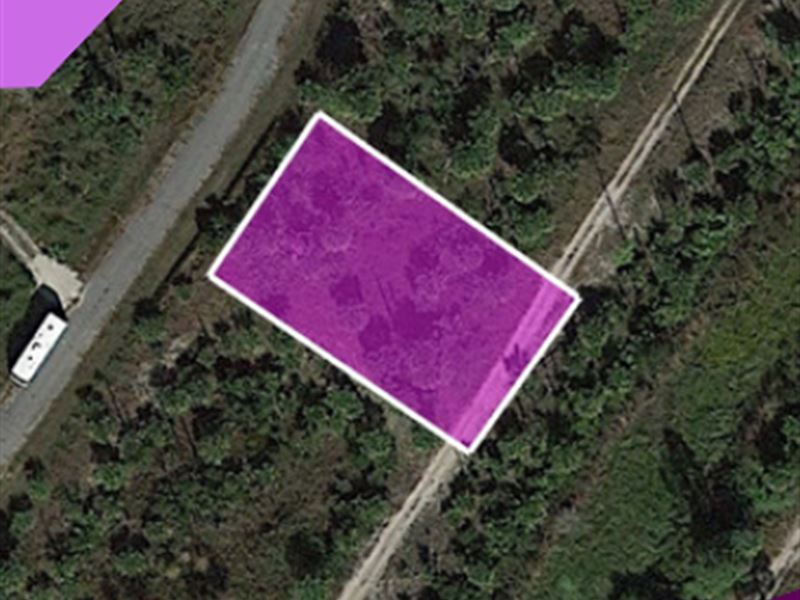 Owner Finance to a Deserving Buyer : North Port : Sarasota County : Florida