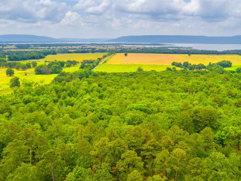 Lake View Lot with Utilities & Road : Tuskahoma : Latimer County : Oklahoma