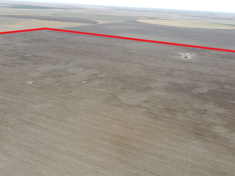 Panhandle Dryland Double Quarters : Goodwell : Texas County : Oklahoma