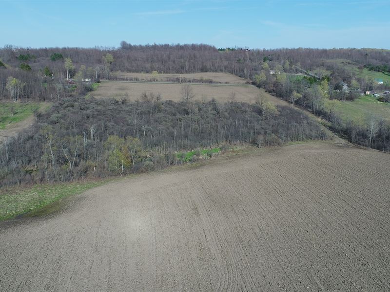 Large Acreage Mix in The Foothills : Manlius : Onondaga County : New York
