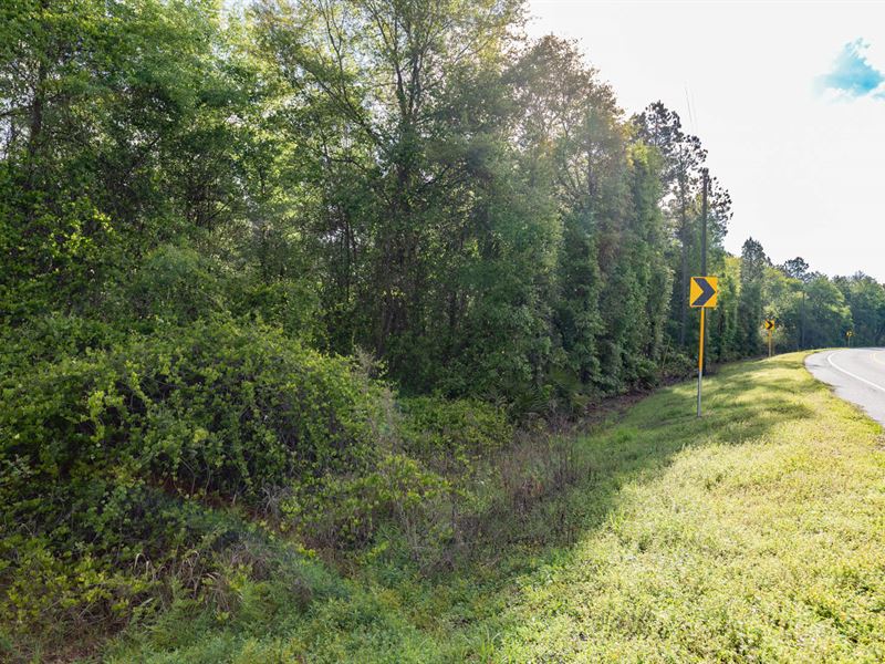21 Acres, Section of Planted Pine : Jennings : Hamilton County : Florida