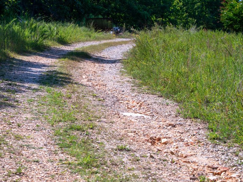 2 Adjacent Lots Near 3 Lakes, River : Horseshoe Bend : Izard County : Arkansas