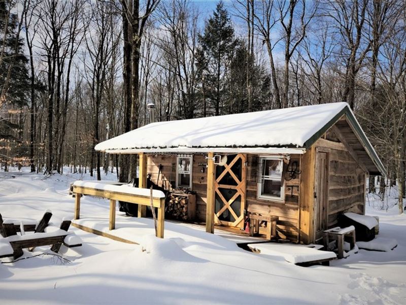 Lean-To in Birmingham Woods : North Shore Drive : Oswego County : New York