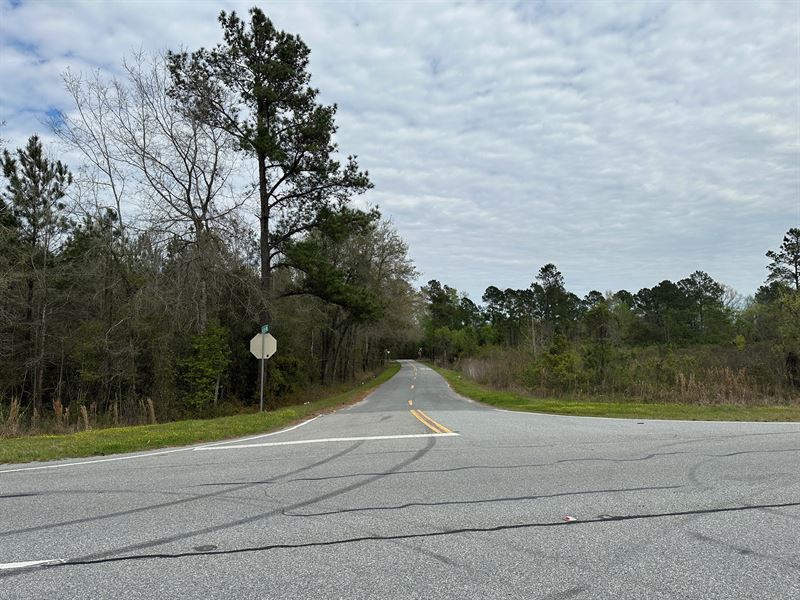 31 Acres in Glynn County, GA : Brunswick : Glynn County : Georgia