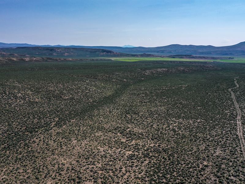 40 Acres Of Serenity in Elko County : Elko : Elko County : Nevada