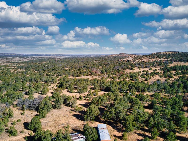 Power & Access Near Public Land : Ramah : Cibola County : New Mexico