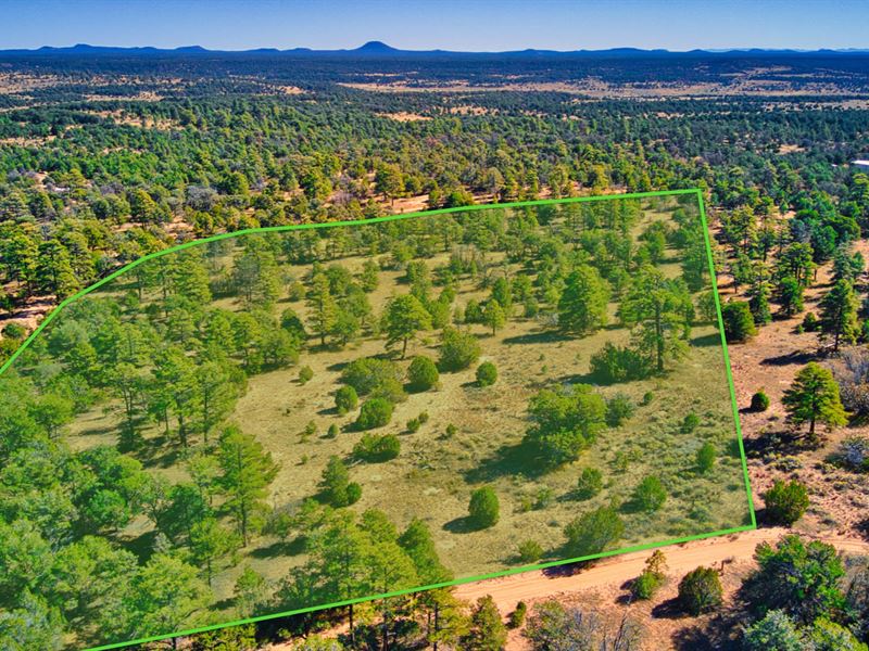 10.86 Ac with Access Near Blm Land : Ramah : Cibola County : New Mexico