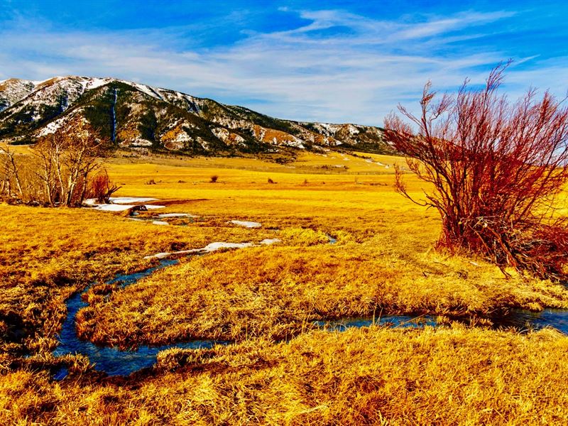 Mountain Views Near National Forest : Elk Mountain : Carbon County : Wyoming