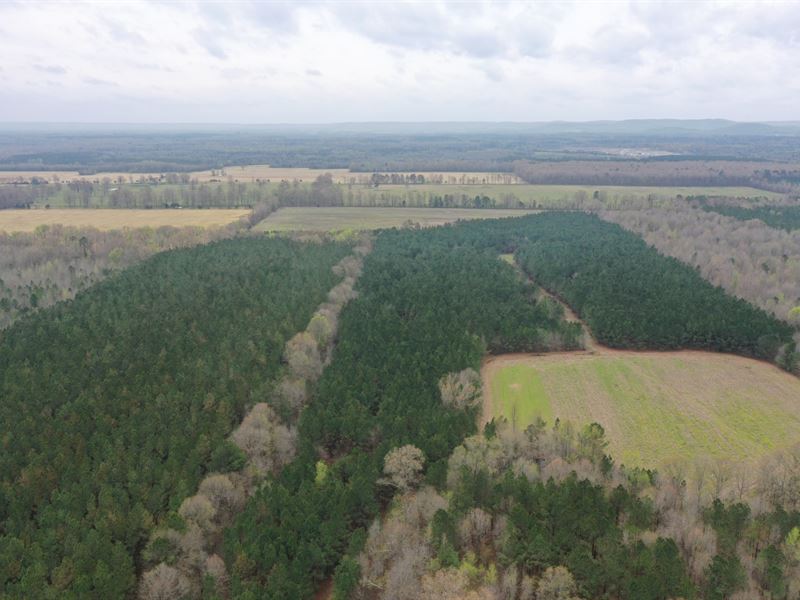 88 Acres Lawrence Co : Russellville : Lawrence County : Alabama