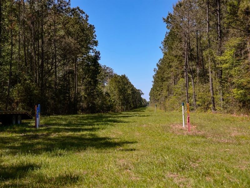 Hunting Land for Sale in East Baton : Zachary : East Baton Rouge Parish : Louisiana