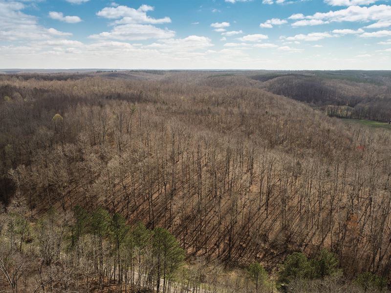 Best of Both World's Location : Centerville : Hickman County : Tennessee