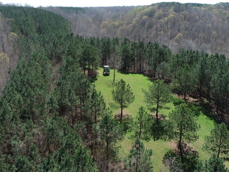 Gorgeous 234 Acres on Duck River : Centerville : Hickman County : Tennessee